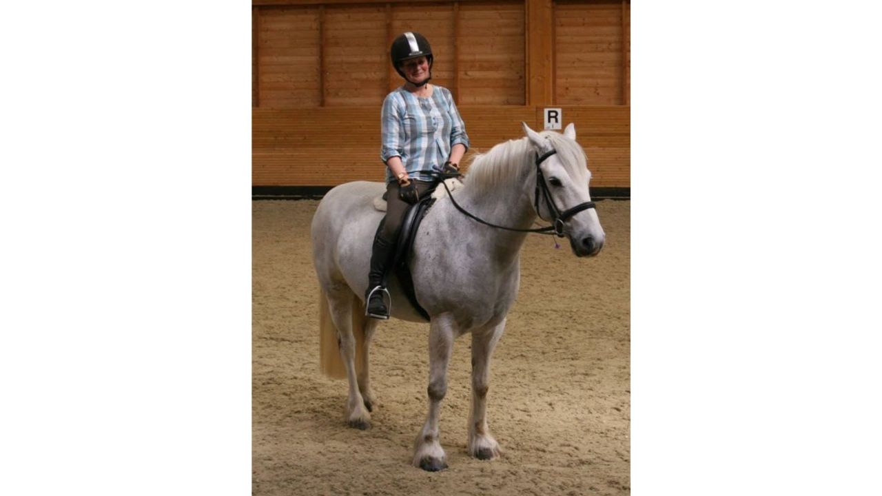 simple system horse feeds review
