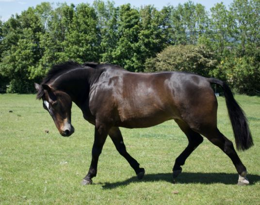 Customer Success Gallery - Gandalf