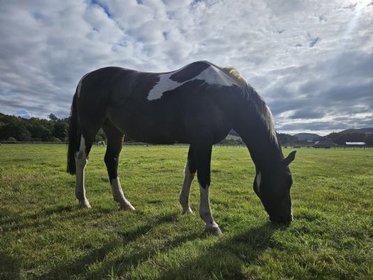 Customer Success Gallery - 