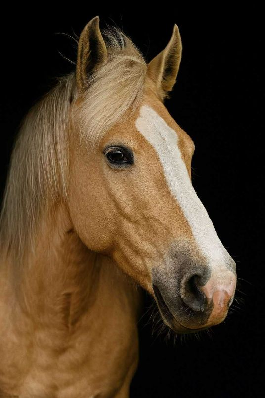 Customer Success Gallery - 