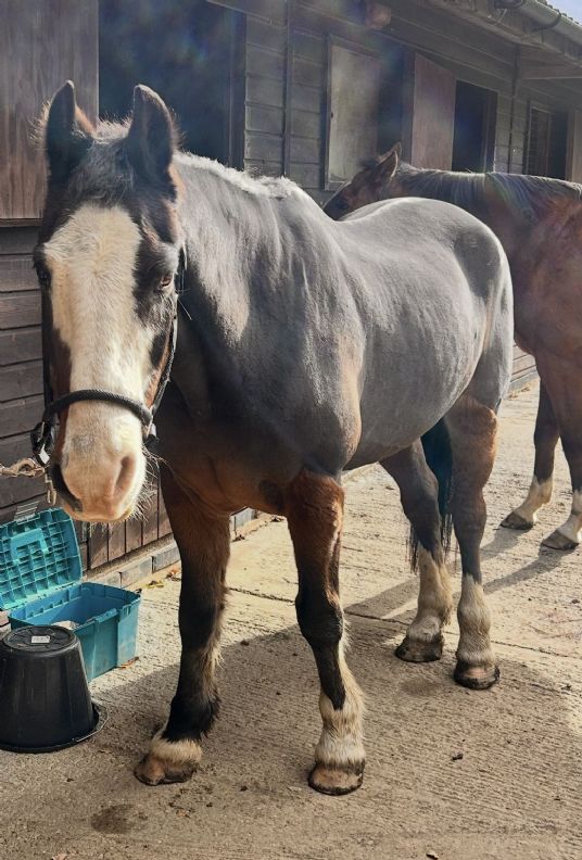 Customer Success Gallery - 