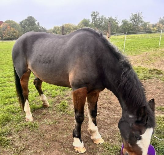 Customer Success Gallery - 