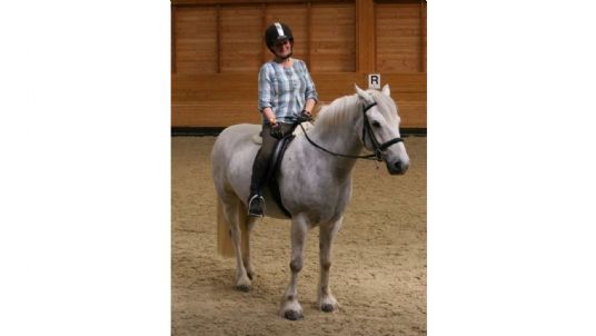 simple system horse feeds review