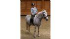 simple system horse feeds review