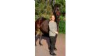 customer feedback for simple system horse feeds