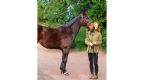 simple system feed for thoroughbred