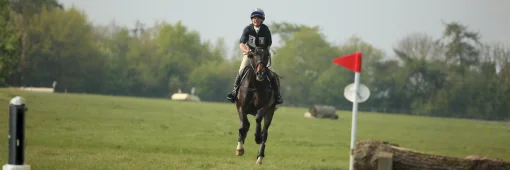 Horse and rider working in the arena