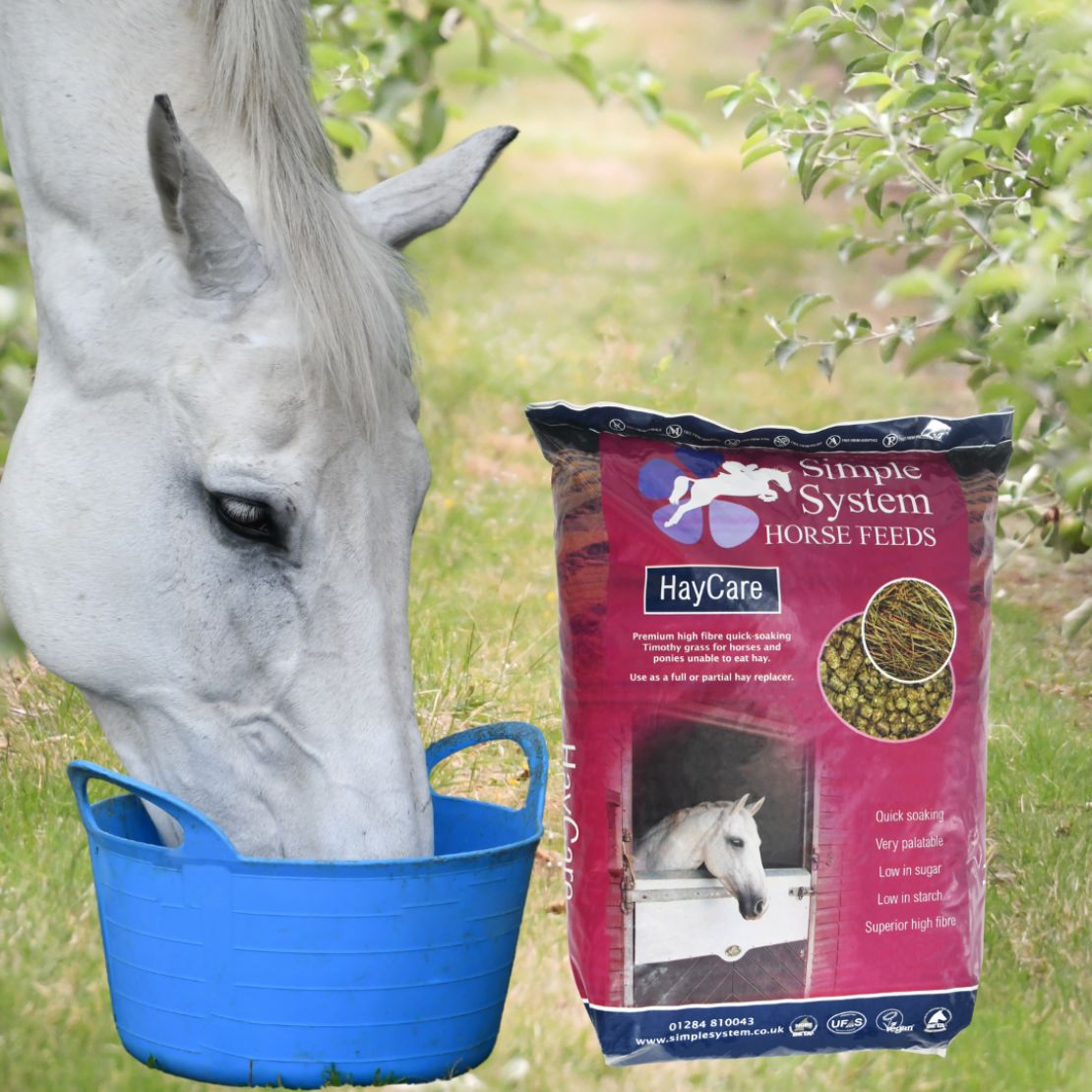 HayCare for Elderley Horses