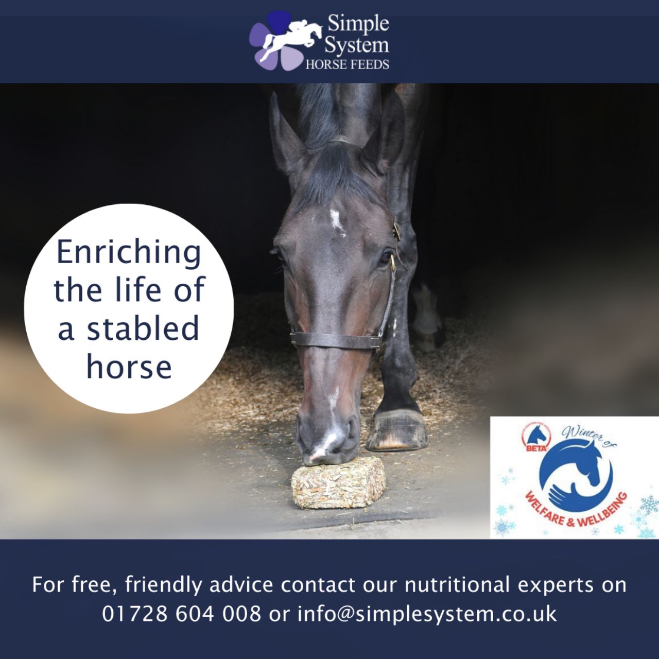 Enriching the life of stabled horse & Simple System Brix