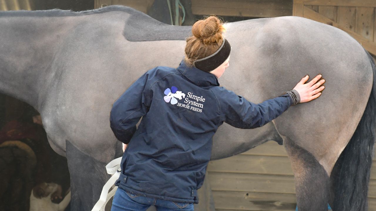 Feeding the poor doer feeding advice from Simple System Horse Feeds