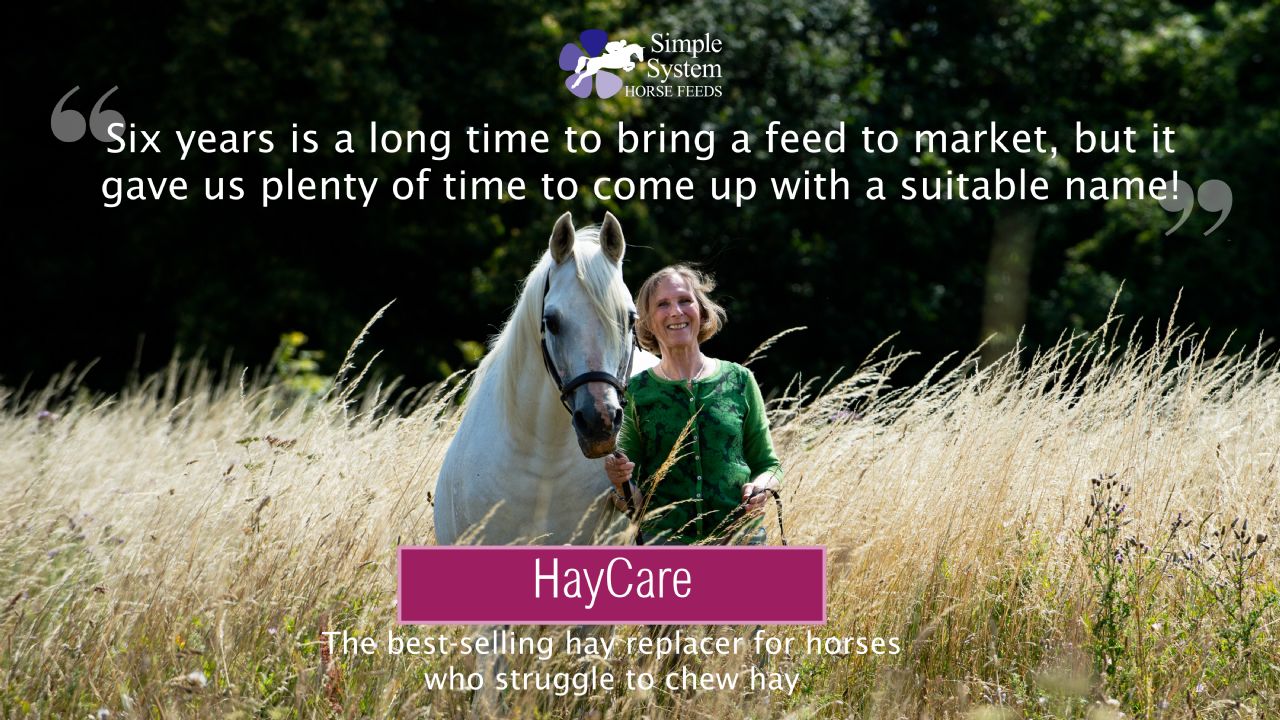 Best hay replacer for horses
