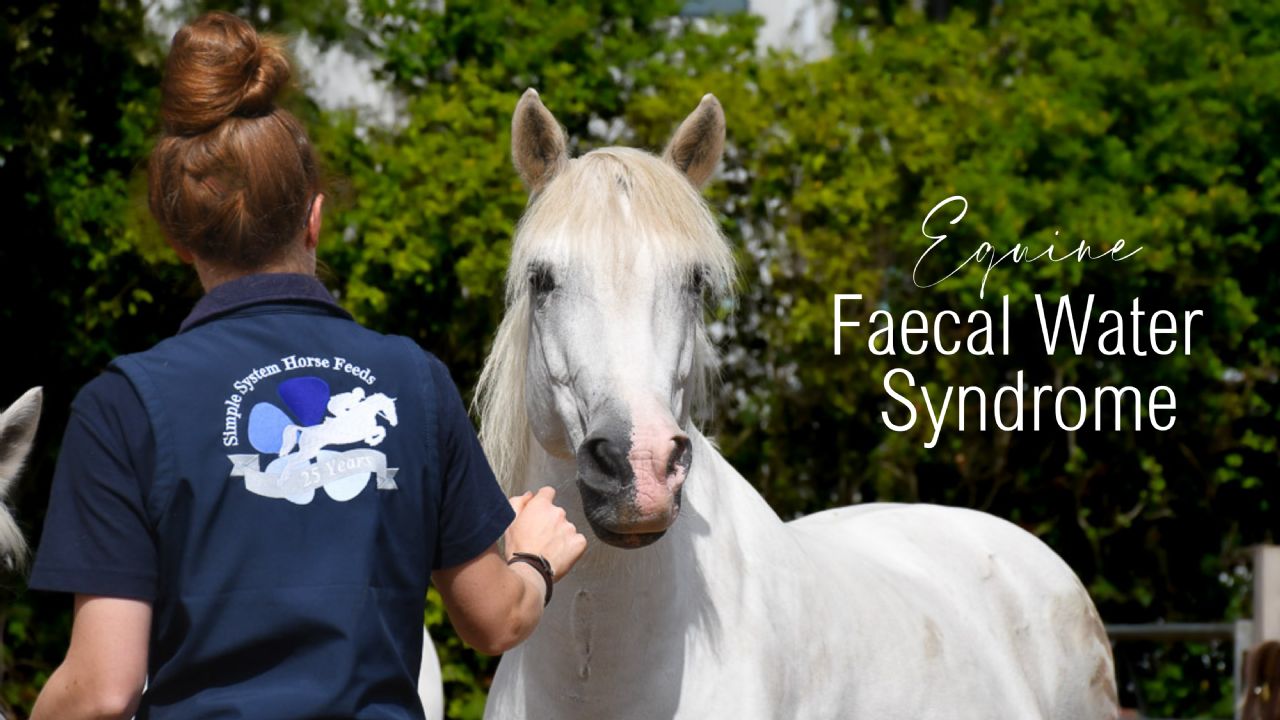 Equine Faecal Water Syndrome