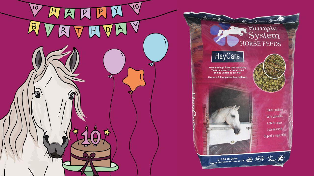 Simple Systems HayCare is ten years old