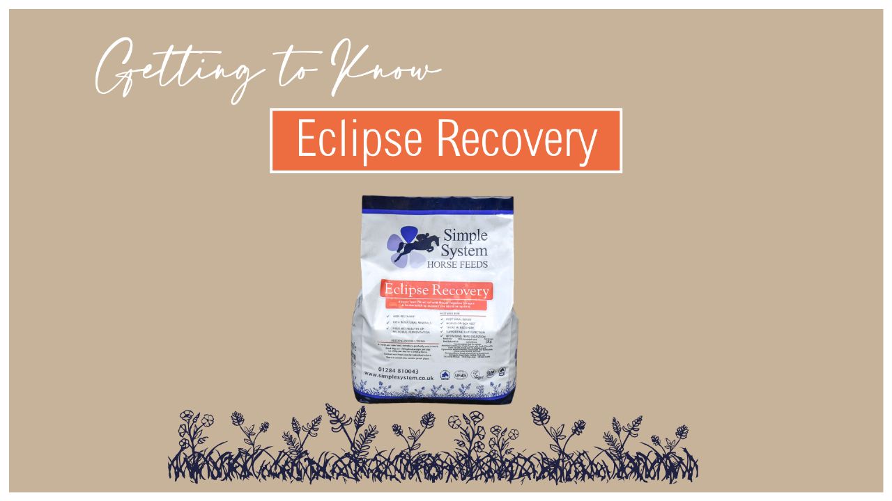 Simple Systems recovery horse feed