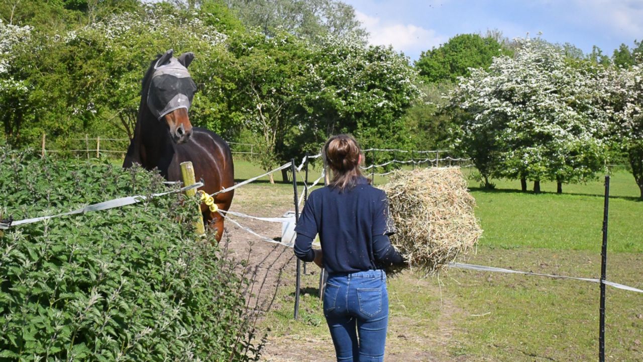 managing hay supplies for horses Simple Systems