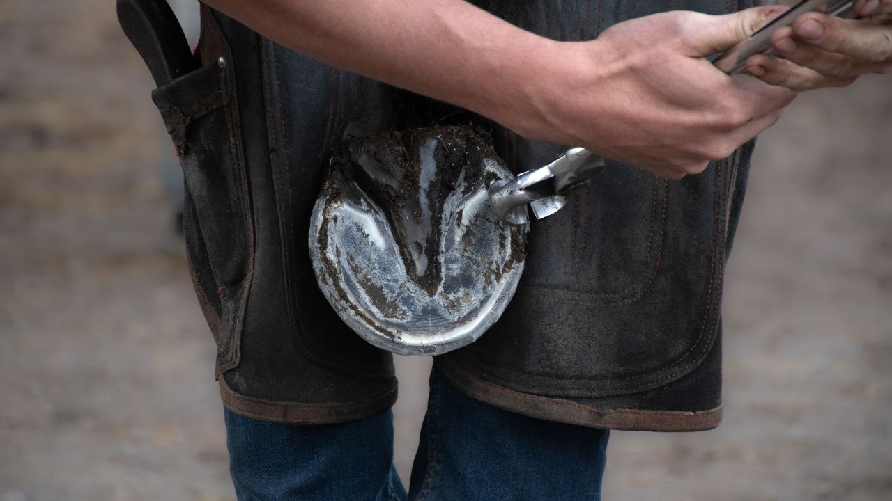 what is a barefoot diet for horses