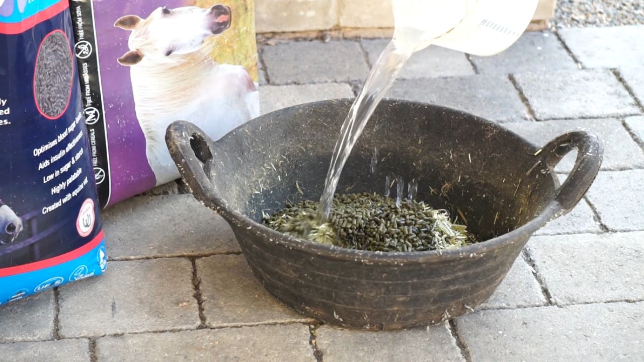 why soak horse feed