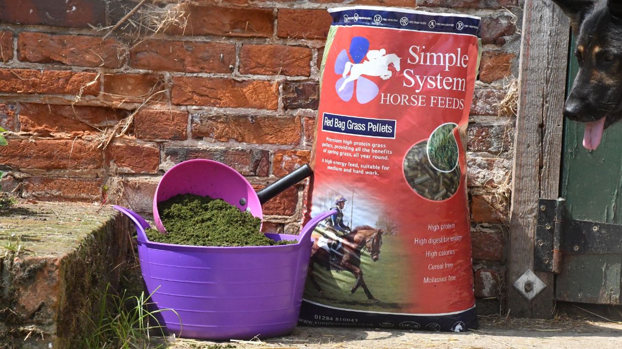 Soaked Feed Simple Systems Red Bag Grass Pellets