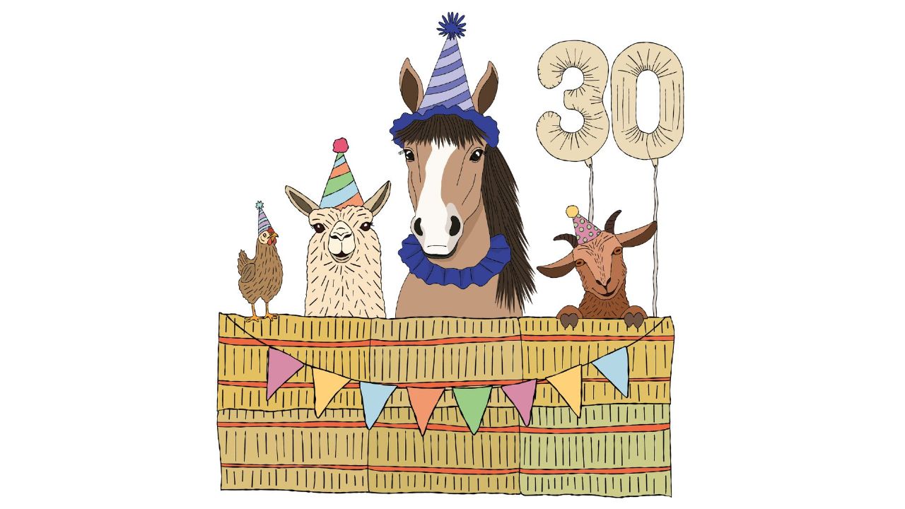 Simple System Horse Feeds 30th anniversary