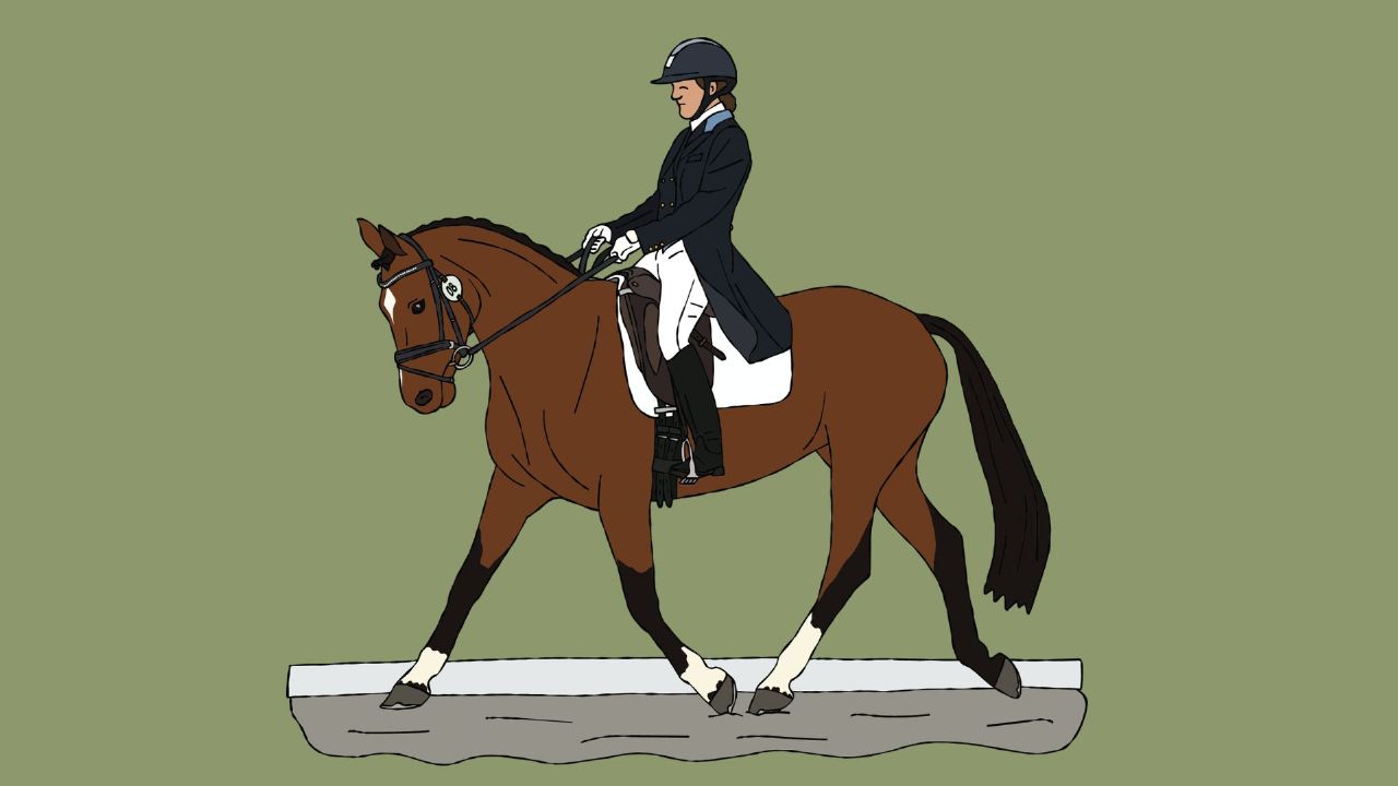 Janine Lamy - Rider Mindset - Simple Systems Supported Rider