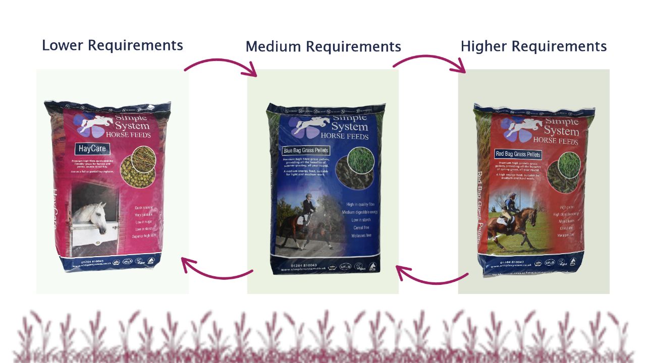 Changing energy levels in horse feed during winter