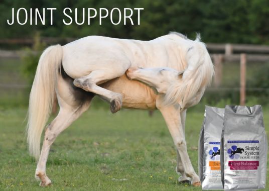 Joint support for horses FlexiBalance