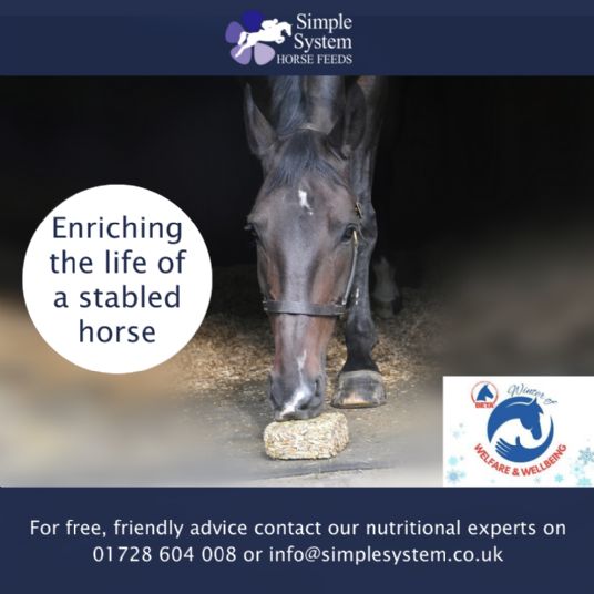 Enriching the life of stabled horse & Simple System Brix