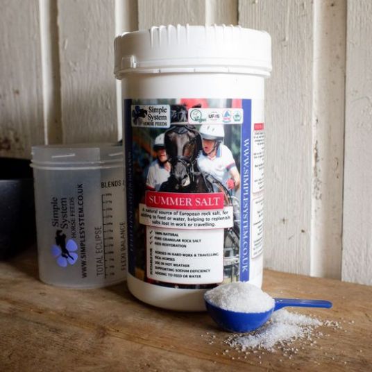Electrolytes for horses