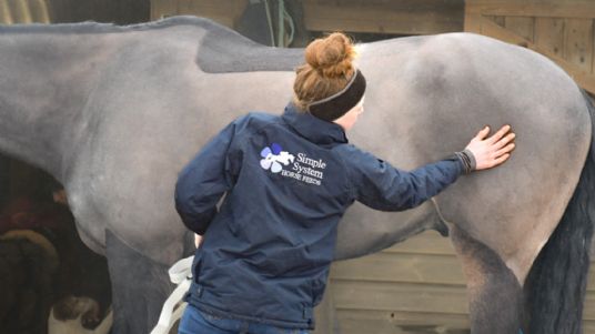 Feeding Questions Answered - Grooming