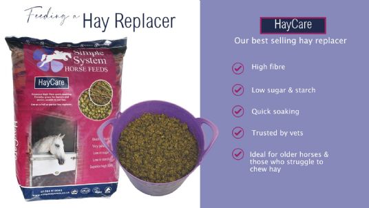 Hay Replacers for Horses