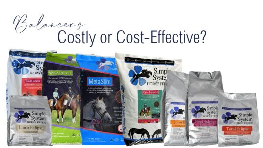 Forage balancers for horses