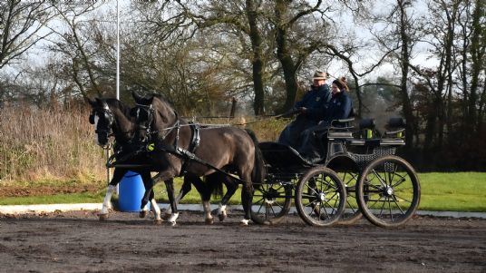 Joint support for horses FlexiBalance