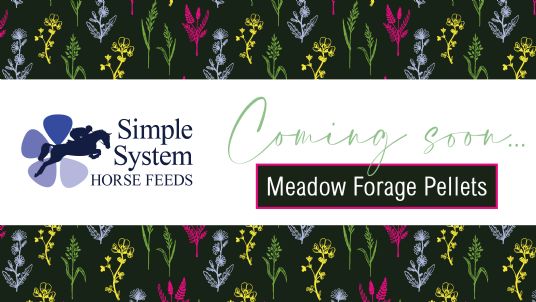 Meadow Forage Pellets for horses to increase variety in the diet