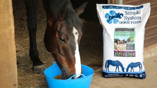 Meadow Forage Pellets for horses gut microbes