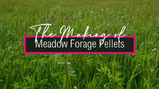 Meadow Forage Pellets - add variety to your horse's diet