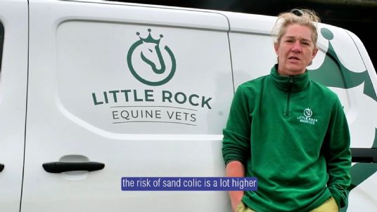 Feed for horses prone to sand colic