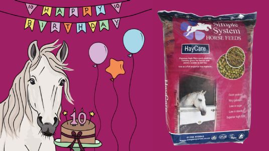 Simple Systems HayCare is ten years old