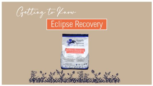 Simple Systems recovery horse feed