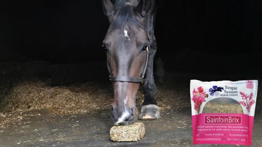 Why should horses eat from ground level