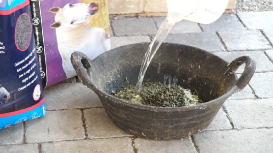 why soak horse feed