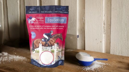 electrolytes for horses