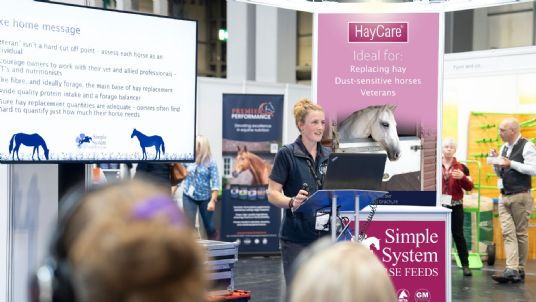 Simple System Horse Feeds nominated for BETA awards