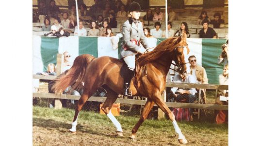 Simple System Horse Feeds Jane van Lennep