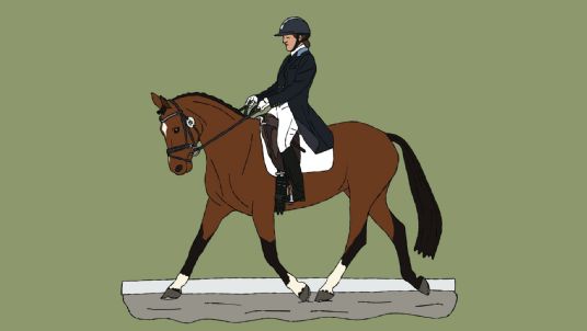 Janine Lamy - Rider Mindset - Simple Systems Supported Rider