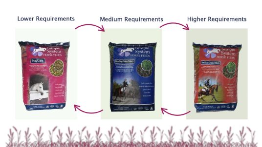 Changing energy levels in horse feed during winter