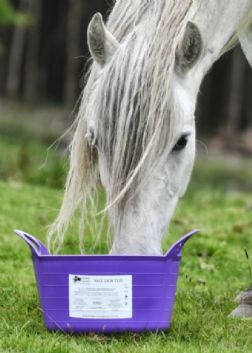 This Month on the Feed Line - Helping Horses in Hotter Weather