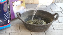 why soak horse feed