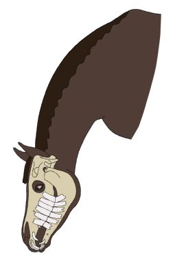  - Quarter width