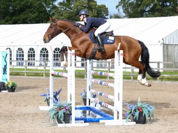 Georgie Wood - Showjumping - Third width