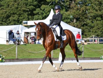 Georgie Wood - Dressage - Third width